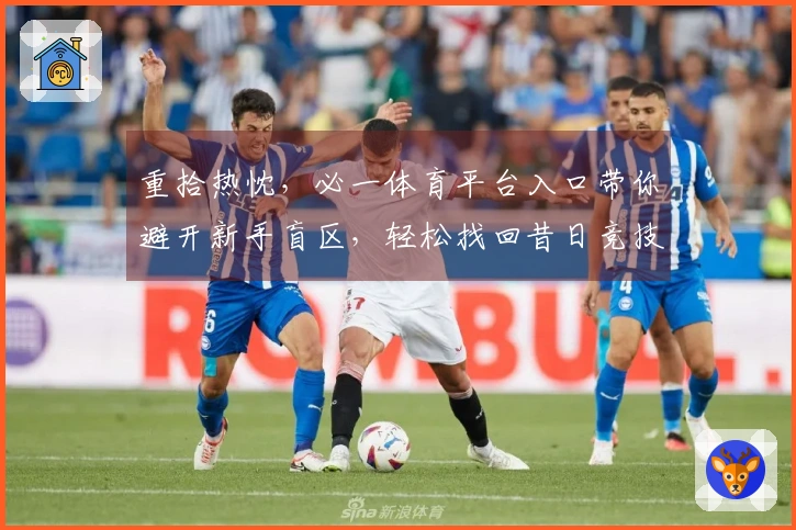 重拾热忱，必一体育平台入口带你避开新手盲区，轻松找回昔日竞技快感