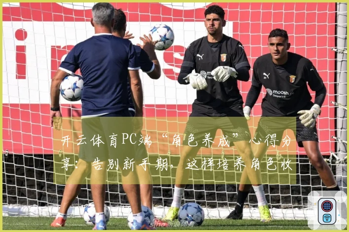 开云体育PC端“角色养成”心得分享：告别新手期，这样培养角色收益最大化！